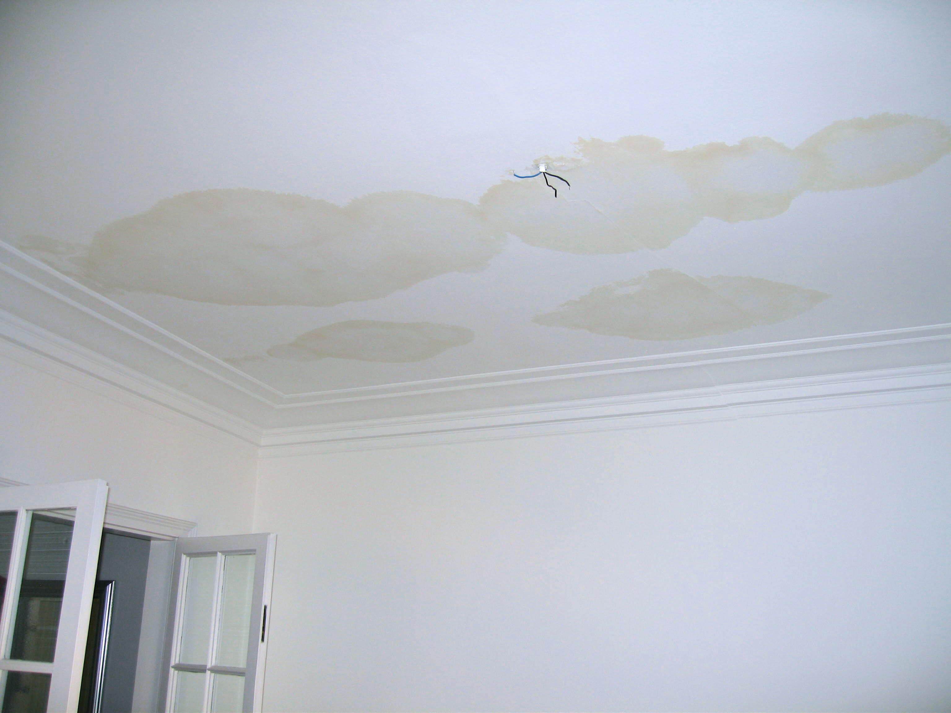Interior ceiling water stains from a roof leak