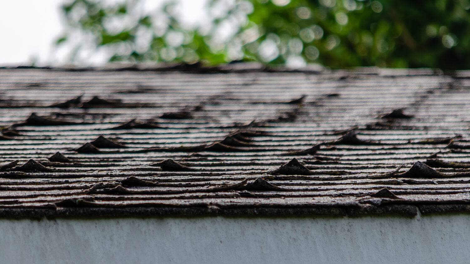 Curling shingles on a New Jersey roof